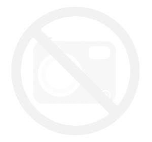 Kask Perfexxion II 2.jpg